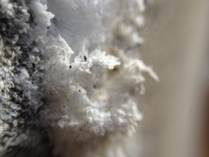 Photo of What is Crystalline?